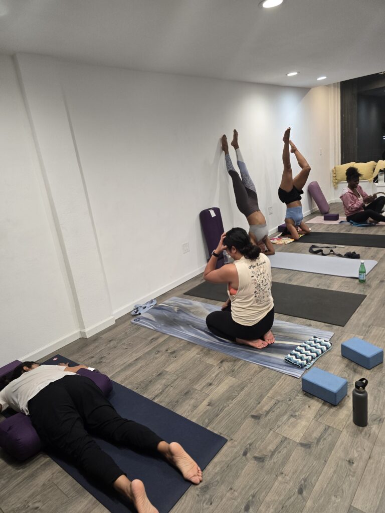 Lotus Wellness Soul Flow 2